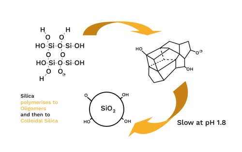 Haarla food trends silica polymerises