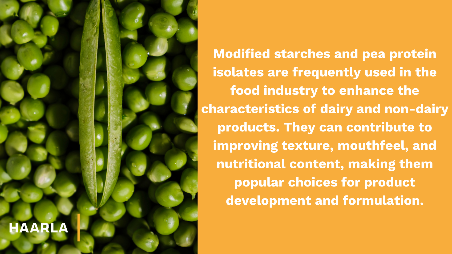 Modified starches and pea protein isolates